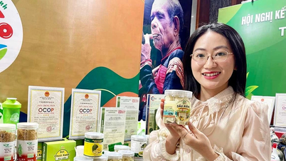 Connecting supply and demand brings agricultural products into modern supply chains.