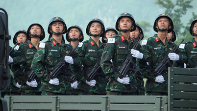 Il Vietnam si prepara a schierare fanteria meccanizzata per operazioni di mantenimento della pace.