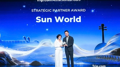 Компания Sun Group получила высшую награду от Trip.com, что расширяет глобальное сотрудничество в целях продвижения вьетнамского туризма.