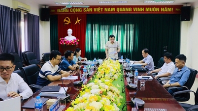 อนุมัติโครงการวิจัยเกี่ยวกับการประยุกต์ใช้เทคโนโลยีขั้นสูงในการระบุและประเมินคุณภาพของไม้แปรรูปเชิงพาณิชย์