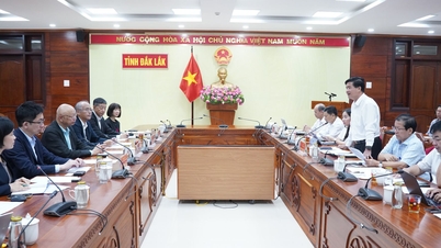 Il vicepresidente del Comitato popolare della provincia di Dak Lak, Nguyen Thien Van, ha tenuto un incontro di lavoro con il gruppo Mitani Sangyo (Giappone).