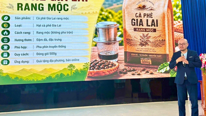 Thong Nhat bölgesindeki ev işletmeleri için çevrimiçi satış becerileri eğitimi.
