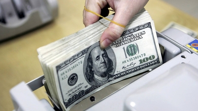 Tasso di cambio del dollaro USA oggi, 29 maggio 2026: le banche riducono il tasso di acquisto e aumentano quello di vendita.