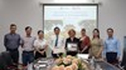 ການຮ່ວມມືໃນການຝຶກອົບຮົມ ແລະ ການຄົ້ນຄວ້າກັບຄູ່ຮ່ວມງານ ມະຫາວິທະຍາໄລເຕັກໂນໂລຊີຊິດນີ (UTS): ແນໃສ່ຮັບຮູ້ໂອກາດ ແລະ ເພີ່ມປະສິດທິພາບທ່າແຮງ.