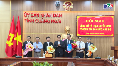 Nomination du directeur du conseil de gestion du projet d'investissement de Quang Ngai occidental