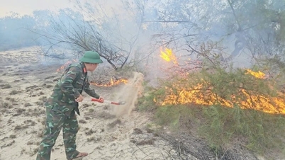 Vier Feuerwehrwagen wurden mobilisiert, um den Wald zu retten.