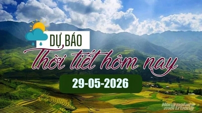 Ramalan cuaca untuk hari ini, 29 Mei 2026: Hujan di Vietnam Utara, suhu menurun.