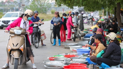 ‘Chợ cóc’ và bài toán sinh kế cho người dân