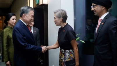 A Vietnam és Szingapúr közötti átfogó stratégiai partnerség megerősítése.