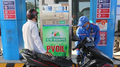 Хайфон: Готовий перейти на продаж бензину E10 з 1 червня.