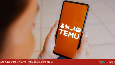 Az EU 200 millió euróra bünteti a Temu e-kereskedelmi platformot.