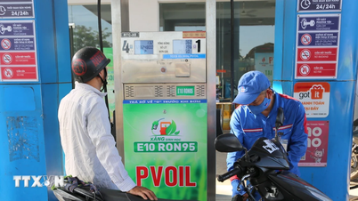 Hải Phòng sẵn sàng chuyển sang kinh doanh xăng E10 từ ngày 1/6