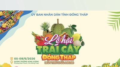Logo e identità visiva del 1° Festival della Frutta di Dong Thap nel 2026