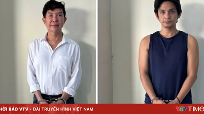 Hào quang và vực thẳm: Vì sao nghệ sĩ dễ sa ngã?