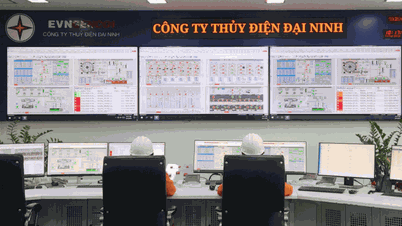 Công ty Thủy điện Đại Ninh bảo đảm cung ứng điện và cấp nước phục vụ kinh tế dân sinh