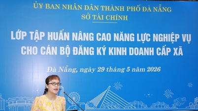 다낭시는 면 단위 사업자 등록 담당 공무원들을 위한 전문 교육 프로그램을 제공합니다.