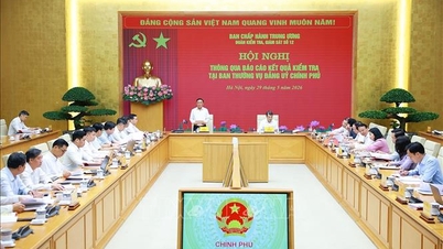 Konferensi tersebut mengadopsi laporan tentang hasil inspeksi pada Komite Tetap Komite Partai Pemerintah.
