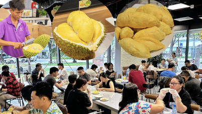 Ngày mai có buffet sầu riêng ở TP.HCM: Hơn 1 tấn sầu riêng, chỉ diễn ra 2 ngày