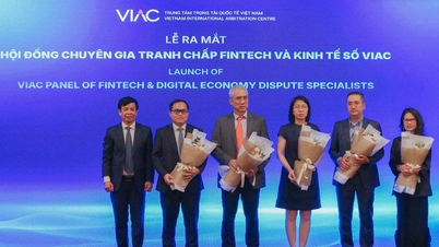 Создан экспертный совет VIAC по разрешению споров в сфере финансовых технологий и цифровой экономики.