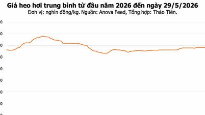Prezzo della carne di maiale oggi, 29 maggio: nella regione settentrionale si registra un calo di 1.000 VND/kg, attestandosi a 68.000 VND/kg.