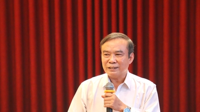 Da Nang implementerà soluzioni innovative per l'assistenza sanitaria e il miglioramento della salute pubblica.