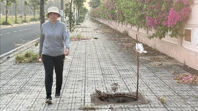 Affrontiamo la questione dei tombini mancanti a seguito di un rapporto dell'agenzia di stampa VNA (Vietnam News Agency).