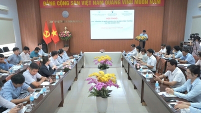 Galería fotográfica: Resumen de la sesión de trabajo de Khánh Hòa sobre la promoción de inversiones industriales en Corea del Sur.