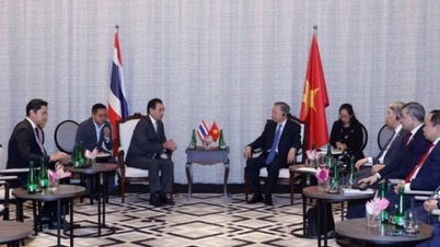 Vi välkomnar den fortsatta expansionen av investeringar, produktion och affärsverksamhet hos stora thailändska industriföretag i Vietnam.