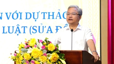 ការលើកកម្ពស់តួនាទីរបស់យុវជនក្នុងការផ្តល់មតិកែលម្អ និងចូលរួមចំណែកដល់ការធ្វើច្បាប់។