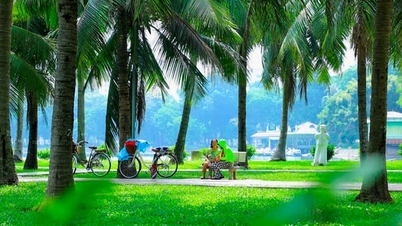 ฮานอยขยายพื้นที่สีเขียว สร้าง “เมืองแห่งความสุข”