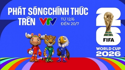 Wo und auf welchen Sendern kann ich die Fußball-Weltmeisterschaft 2026 in Vietnam sehen?