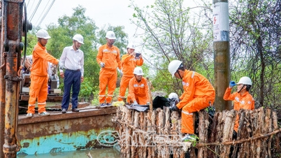 Garantire la fornitura di energia elettrica in modo rapido e sicuro durante le calamità naturali.