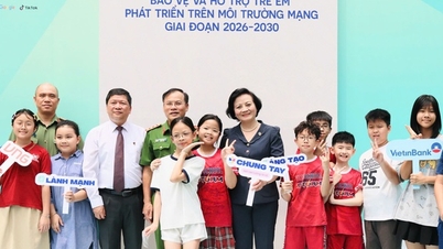 La vice prima ministra Pham Thi Thanh Tra ha dichiarato: "I bambini non devono essere esposti a pericoli nel mondo virtuale".