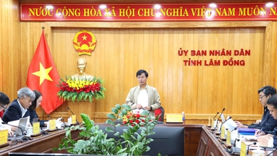 ແຂວງເລີມດົ່ງກຳລັງເລັ່ງປັບປຸງພູມສັນຖານໃຫ້ທັນສະໄໝ ສຳລັບງານບຸນດອກໄມ້ປີ 2026.