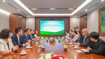 Vietcombank och AIIB höll ett arbetsprogram på hög nivå.