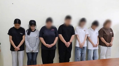 Many cases of school violence constitute serious violations of the law: The Ministry of Education and Training issues "urgent" directive.