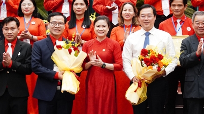 Convertir Ciudad Ho Chi Minh en un centro de coordinación humanitaria para la región sur.