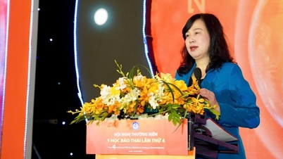 Il ministro Dao Hong Lan ha affermato: ridurre le malattie infantili fin dalla fase prenatale è un obiettivo umanitario della medicina fetale.