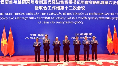 Rendere la cooperazione tra Tuyen Quang e lo Yunnan più sostanziale ed efficace.