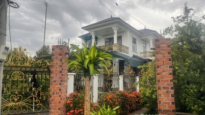 Nella comune di Ngũ Hiệp, provincia di Đồng Tháp (precedentemente provincia di Tiền Giang), esiste un villaggio di milionari, con innumerevoli ville grandi e splendide, dove i residenti hanno "cambiato la loro vita" grazie a una "vincita miliardaria".