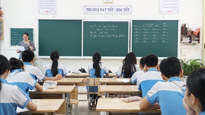 Mengurus pelajar semasa cuti musim panas dan memerangi keganasan sekolah.