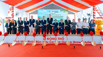 Două corporații olandeze importante au început construcția unei fabrici de îngrășăminte organice în valoare de 827 de miliarde de VND în Tay Ninh.