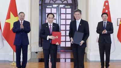 Il Segretario Generale e il Presidente hanno presenziato alla cerimonia di firma dei documenti di cooperazione tra Vietnam e Singapore.