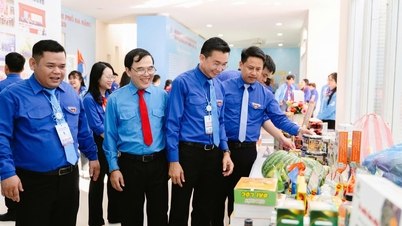 Pameran ini menampilkan lebih dari 100 produk pembangunan ekonomi dan OCOP (Satu Komune Satu Produk) dari kaum muda di Da Nang.