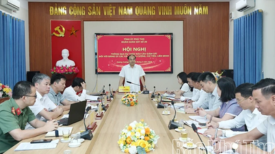 Through the draft monitoring report on the Standing Committee of the Party Committees of Hoang Cuong, Chi Tien, and Lien Minh communes.