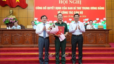 Tay Ninh gör strategiska genombrott inom digital transformation och administrativ reform.