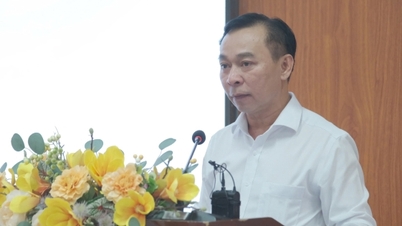 La provincia di Khanh Hoa intensifica gli sforzi per promuovere gli investimenti industriali con il mercato sudcoreano.