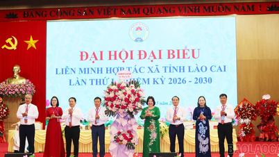 Lao Cai provinsielle kooperative union holdt sin første generalforsamling for delegater for perioden 2026–2030.