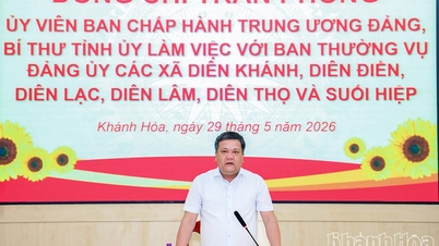 Secretarul provincial al partidului, Tran Phong, lucrează cu Comitetul permanent al Comitetului de partid din 6 comune din zona Dien Khanh.