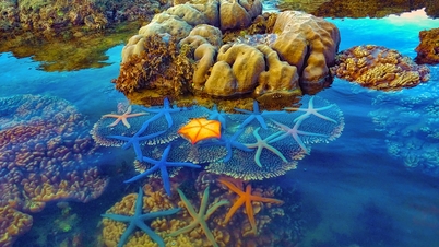 Scopri l'isola di Hon Yen con le sue straordinarie barriere coralline esposte a Dak Lak.